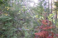 Undeveloped Land for sale in Alpena County, Michigan