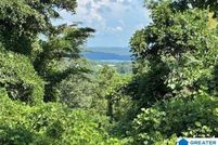 Undeveloped Land for sale in Randolph County, Alabama