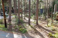 Land for sale in Placer County, California