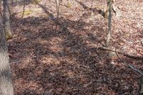 Undeveloped Land for sale in Ozark County, Missouri