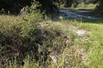 Land for sale in Okeechobee County, Florida