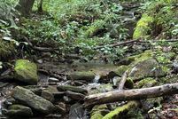 Land for sale in Clay County, North Carolina