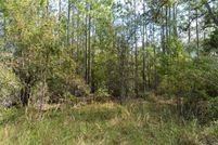 Land for sale in Dixie County, Florida