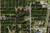 Undeveloped Land for sale in Marion County, Florida