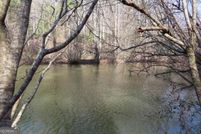 Undeveloped Land for sale in Gilmer County, Georgia