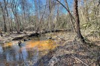 Land for sale in Twiggs County, Georgia