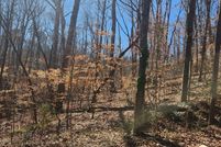 Undeveloped Land for sale in Franklin County, Georgia