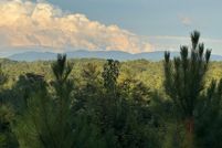 Undeveloped Land for sale in Gilmer County, Georgia