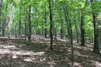 Land for sale in Pickens County, Georgia