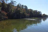 Undeveloped Land for sale in Decatur County, Georgia