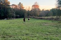 Homesite for sale in Montgomery County, Texas