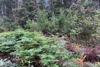 Land for sale in Montgomery County, Arkansas