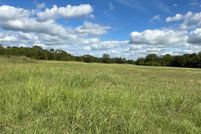Undeveloped Land for sale in Fannin County, Texas