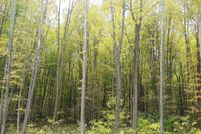 Undeveloped Land for sale in LaPorte County, Indiana