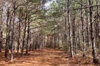 Land for sale in Nacogdoches County, Texas