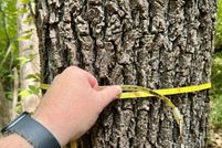 Farm and Ranch for sale in Wilcox County, Alabama