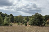 Land for sale in Kalkaska County, Michigan