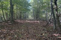 Undeveloped Land for sale in Decatur County, Tennessee