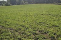 Land for sale in Lenawee County, Michigan