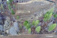 Farm and Ranch for sale in Trinity County, California