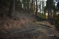 Undeveloped Land for sale in Trinity County, California
