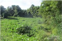 Land for sale in Gaston County, North Carolina