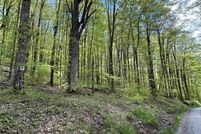 Recreational Property for sale in Tucker County, West Virginia