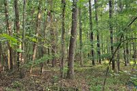 Land for sale in Chesterfield County, Virginia
