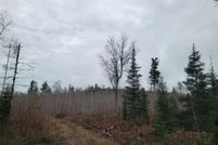 Timberland Property for sale in Iron County, Michigan