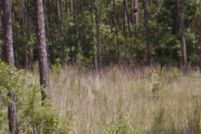 Land for sale in Hancock County, Mississippi