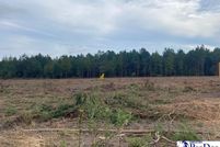 Land for sale in Marlboro County, South Carolina