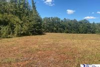 Land for sale in Lee County, South Carolina
