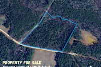 Undeveloped Land for sale in Brunswick County, Virginia