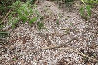 Farm and Ranch for sale in Tangipahoa Parish, Louisiana