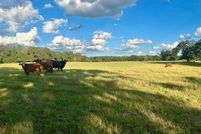 Recreational Property for sale in Leon County, Texas