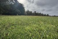 Undeveloped Land for sale in Pasquotank County, North Carolina