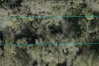 Undeveloped Land for sale in Flagler County, Florida