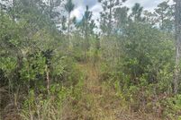 Land for sale in Orange County, Florida