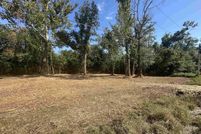 Land for sale in Ascension Parish, Louisiana