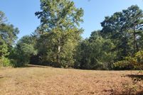 Land for sale in Pike County, Alabama