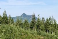 Land for sale in Clatsop County, Oregon