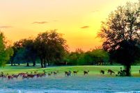 Land for sale in Kinney County, Texas