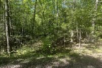 Undeveloped Land for sale in Rhea County, Tennessee