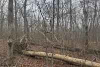 Undeveloped Land for sale in Cumberland County, Tennessee