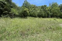 Timberland Property for sale in Cocke County, Tennessee