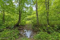 Land for sale in Blount County, Tennessee