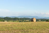 Undeveloped Land for sale in Hamblen County, Tennessee