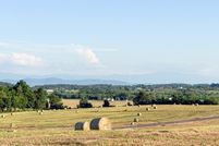 Undeveloped Land for sale in Hamblen County, Tennessee