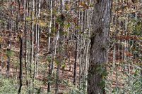 Land for sale in Roane County, Tennessee
