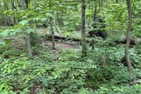 Undeveloped Land for sale in Sevier County, Tennessee